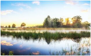 Madigan Wine Country Cottages