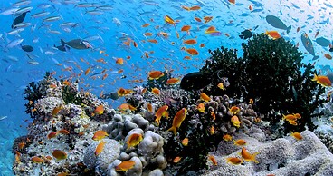 Anantara Kihavah Maldives Villas