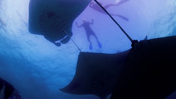 Anantara Kihavah Maldives Villas