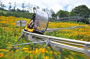 InterContinental Pyeongchang Resort Alpensia by IHG