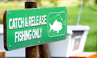 North Texas Jellystone Park