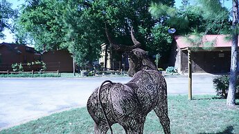 North Texas Jellystone Park