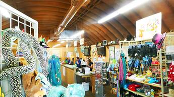 North Texas Jellystone Park