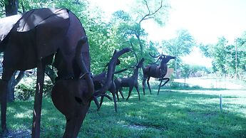 North Texas Jellystone Park