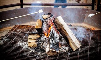 North Texas Jellystone Park