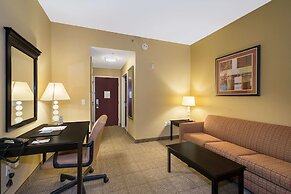 Comfort Inn & Suites Maingate South