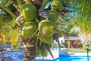 Gumbo Limbo Jungle Resort