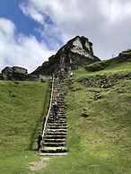 Gumbo Limbo Jungle Resort