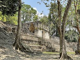 Gumbo Limbo Jungle Resort