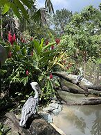 Gumbo Limbo Jungle Resort