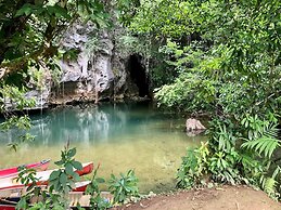 Gumbo Limbo Jungle Resort