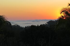 Gumbo Limbo Jungle Resort
