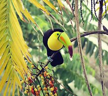 Gumbo Limbo Jungle Resort