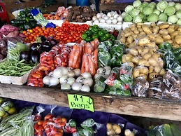 Gumbo Limbo Jungle Resort