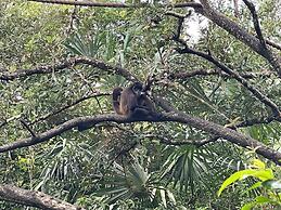 Gumbo Limbo Jungle Resort