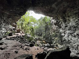 Gumbo Limbo Jungle Resort