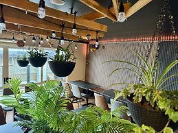 BKs Premier Motel Palmerston North