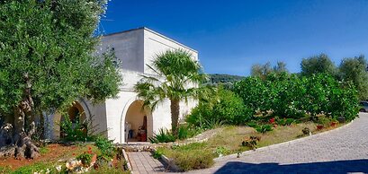 La Piana degli Ulivi