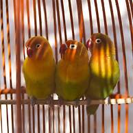 Riad Tamayourt Ocean View