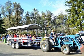 NRMA Ocean Beach Holiday Resort