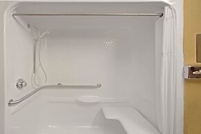 Microtel Inn & Suites by Wyndham Cartersville