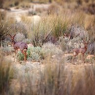 Inverdoorn Private Game Reserve