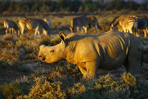 Inverdoorn Private Game Reserve