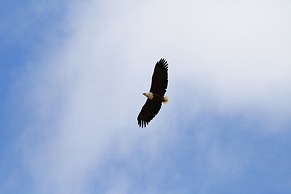 Inverdoorn Private Game Reserve