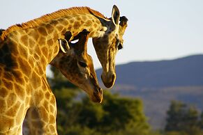 Inverdoorn Private Game Reserve