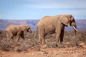 Inverdoorn Private Game Reserve