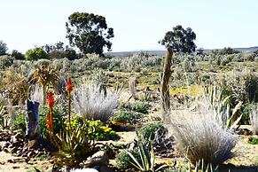 Inverdoorn Private Game Reserve