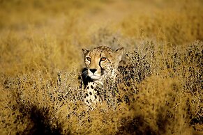 Inverdoorn Private Game Reserve