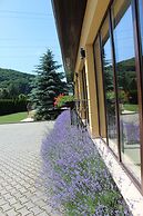 Vila Trapez