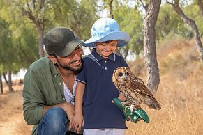 The Ritz-Carlton Ras Al Khaimah, Al Wadi Desert
