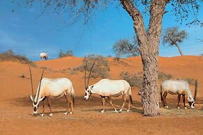 The Ritz-Carlton Ras Al Khaimah, Al Wadi Desert