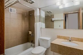 OYO Hotel Morton/East Peoria I-74