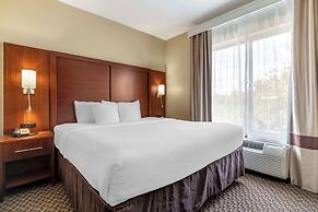 Comfort Suites Medical Center near Six Flags