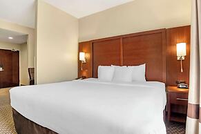 Comfort Suites Medical Center near Six Flags