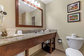 Comfort Suites Medical Center near Six Flags