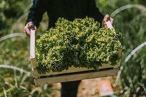 Hotel Grad Otocec Relais & Châteaux