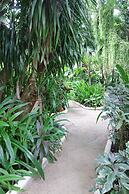 Nigi Nigi Nu Noos “e” Nu Nu Noos