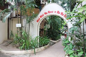 Nigi Nigi Nu Noos “e” Nu Nu Noos