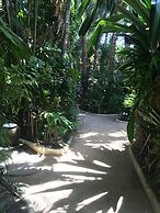 Nigi Nigi Nu Noos “e” Nu Nu Noos