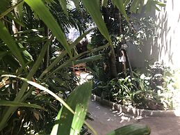 Nigi Nigi Nu Noos “e” Nu Nu Noos