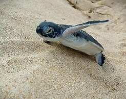Ningaloo Lodge Exmouth