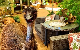 Ningaloo Lodge Exmouth