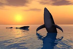 Ningaloo Lodge Exmouth