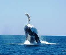 Ningaloo Lodge Exmouth