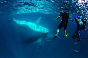 Ningaloo Lodge Exmouth