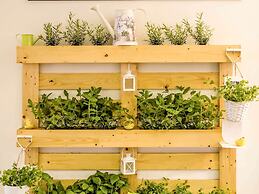 ibis Porto Centro São Bento